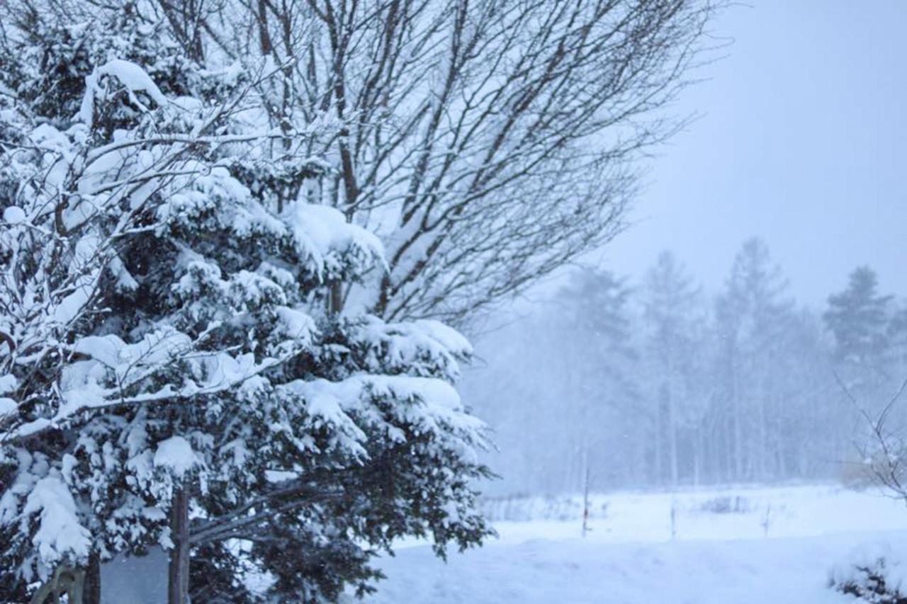 Cottage Yamajyu Hakuba Dış mekan fotoğraf