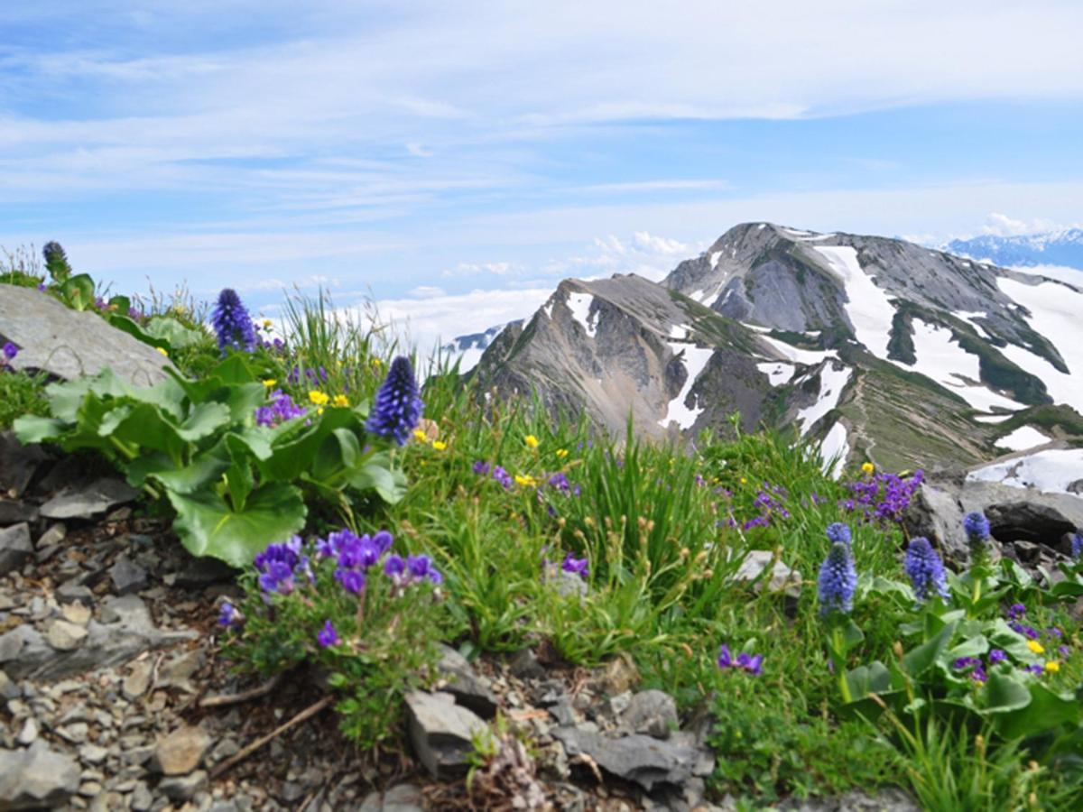 Cottage Yamajyu Hakuba Dış mekan fotoğraf